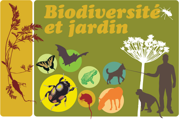 Illustration malle biodiversité et jardin