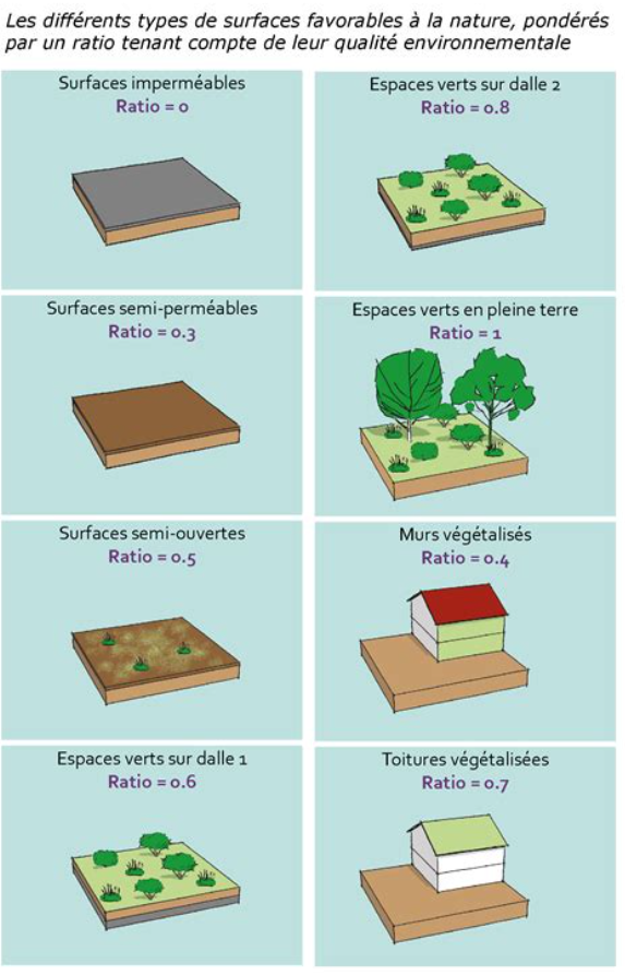 Coefficient de biotope de surface