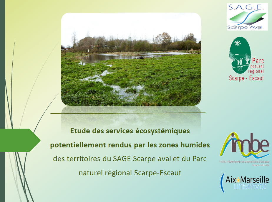 Evaluation des services écosystémiques potentiellement rendus par les zones humides des territoires du SAGE Scarpe aval et du Parc naturel régional Scarpe-Escaut